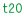 t20